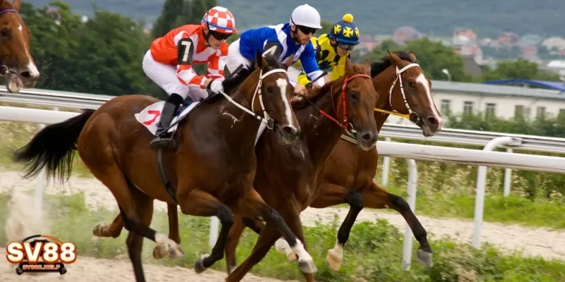 Cá Cược Đua Ngựa – Chinh Phục Với Những Chiến Lược Bất Bại 