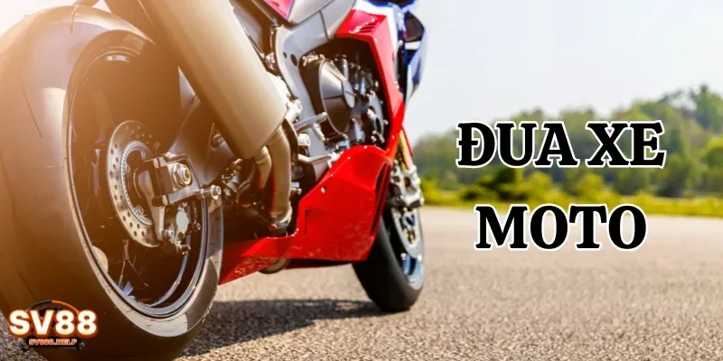 Cược đua xe moto là một trong những hình thức được nhiều người yêu thích