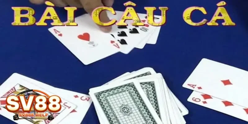 Khám phá cách chơi bài câu cá giúp bạn dễ dàng chiến thắng