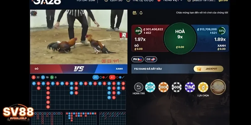 Tìm hiểu chi tiết về luật chơi đá gà tại nhà cái 