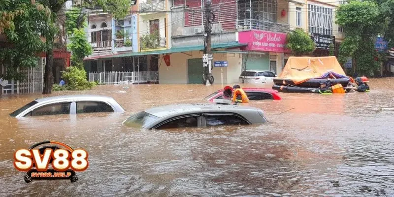 Mơ thấy lũ lụt do thiên tai gây ra